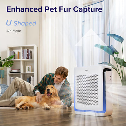 Air Purifiers & Air Purifiers & Air Purifier